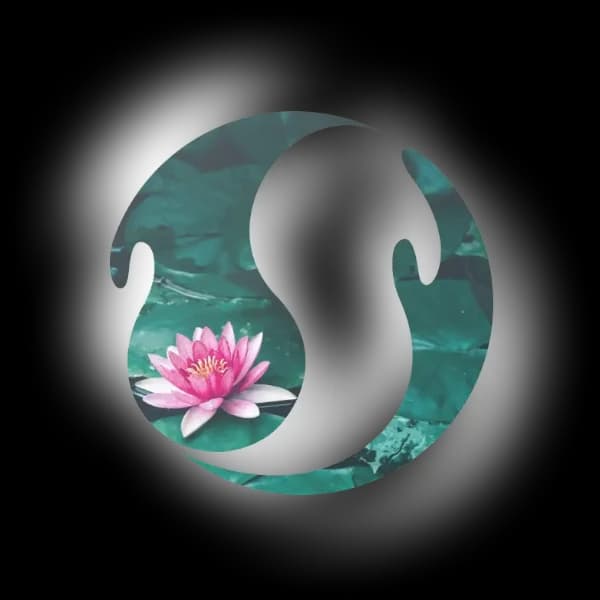 Logo d'InnerFlow illustrant une fleur de lotus rose sur un fond de nénuphars dans un environnement aquatique, symbolisant la tranquillité et le renouveau.